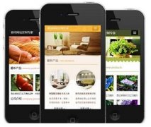 手機(jī)網(wǎng)站怎樣做才更有效果？如何做優(yōu)化？