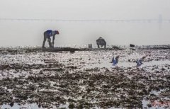 厲害了wuli青島！厲害了wuli紅島?。? /></a>
				</div>
				<div   id=