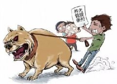 青島10月份一大波勁爆消息，你知道嗎？