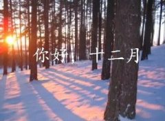 抓住2016年的尾巴給自己充充電！12月，加油！