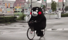 青島也有“共享單車”啦！說騎就騎的旅程GO